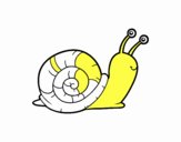 Un caracol