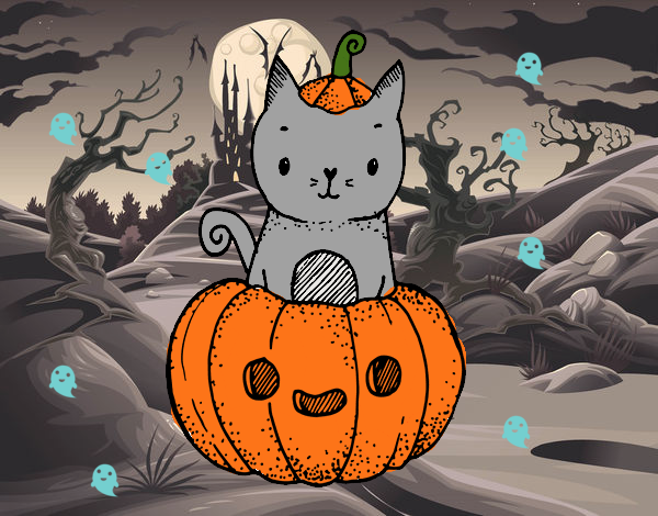 Un gatito de Halloween