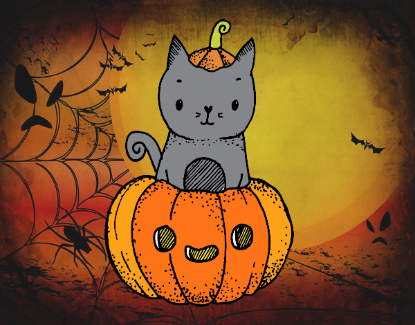 Un gatito de Halloween