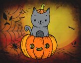 Un gatito de Halloween