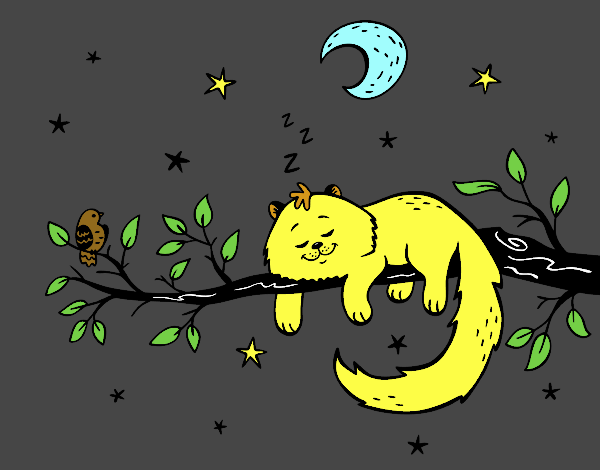 El gato y la luna