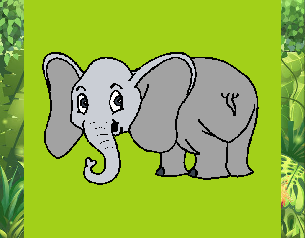 Elefante pequeño