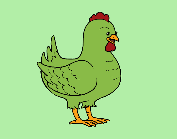 Gallina Verde