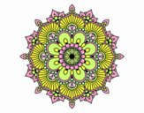 Mandala destello floral