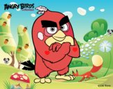 Red de Angry Birds