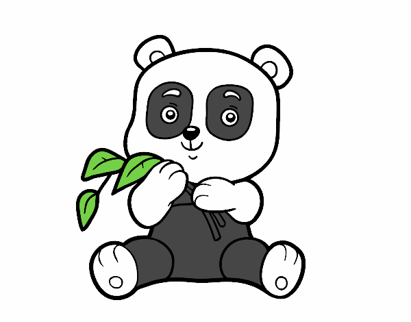 Un oso panda