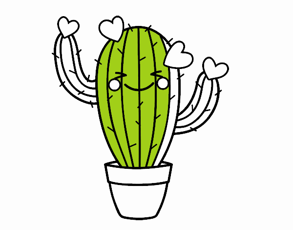 Cactus corazón