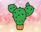 Cactus nopal