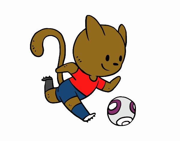 Gato jugando a fútbol