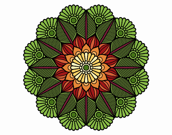 Mandala jardín vegetal