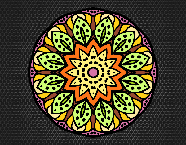 Mandala naturaleza