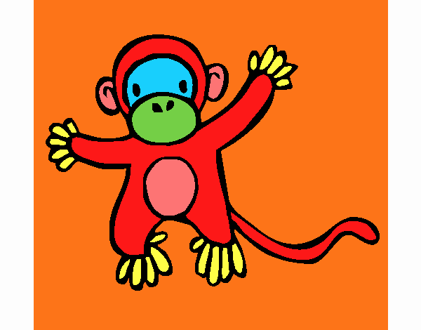 Colorful Monkey