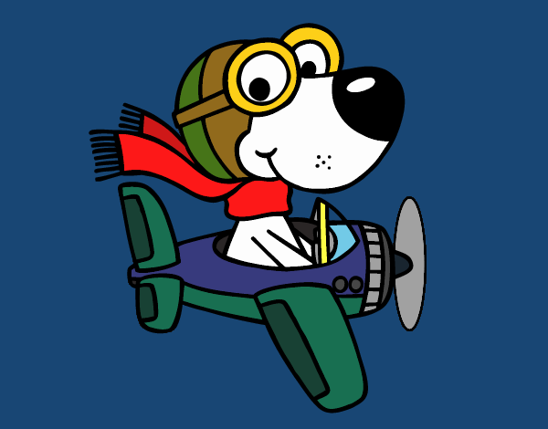 Perro piloto