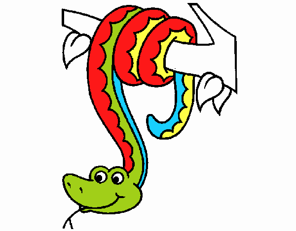 Colorful Snake