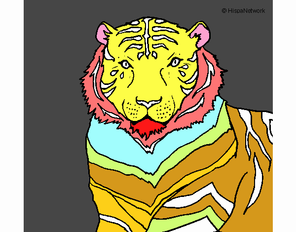 Colorful Tiger