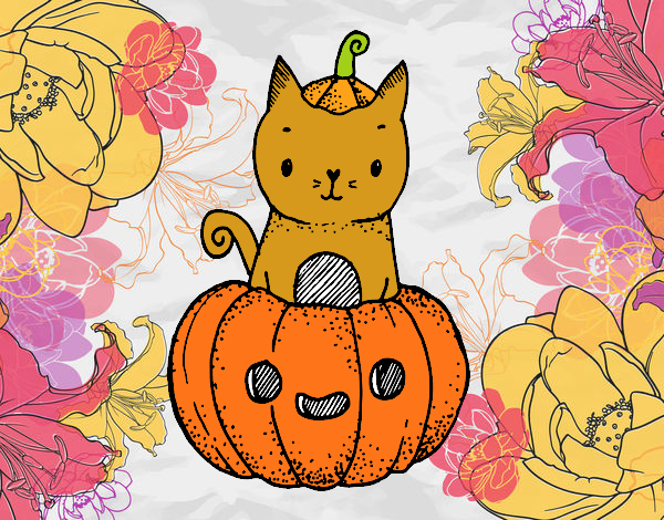 Un gatito de Halloween