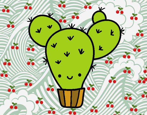 Cactus nopal