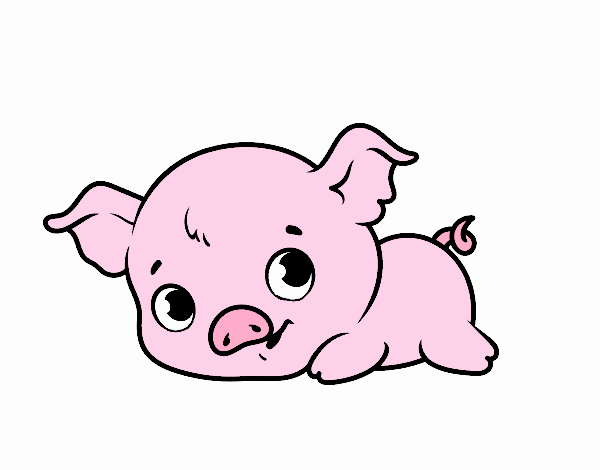 Cerdito bebé