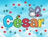 César