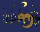 El gato y la luna