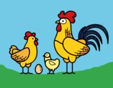 Familia gallina