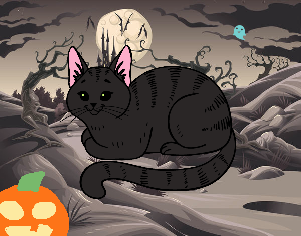 Gato Negro de Halloween