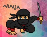 Ninja japonés