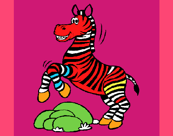 Colorful Zebra 