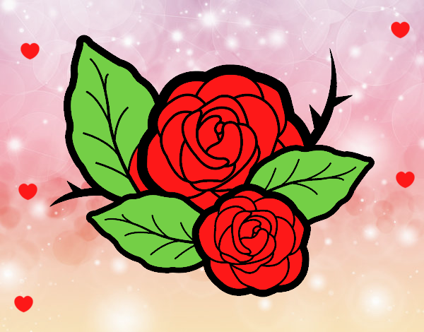 Dos rosas