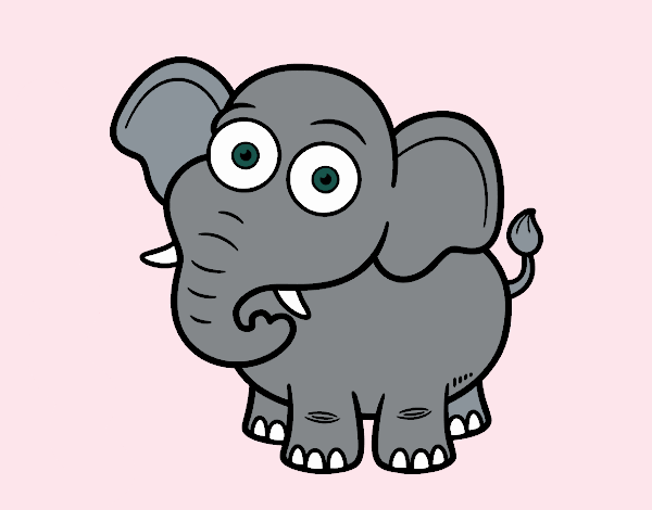 Elefante de Javier