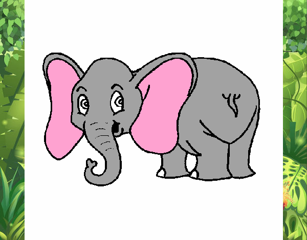 Elefante pequeño