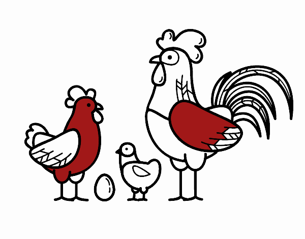 Familia gallina