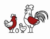 Familia gallina