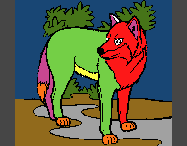 Colorful Wolf