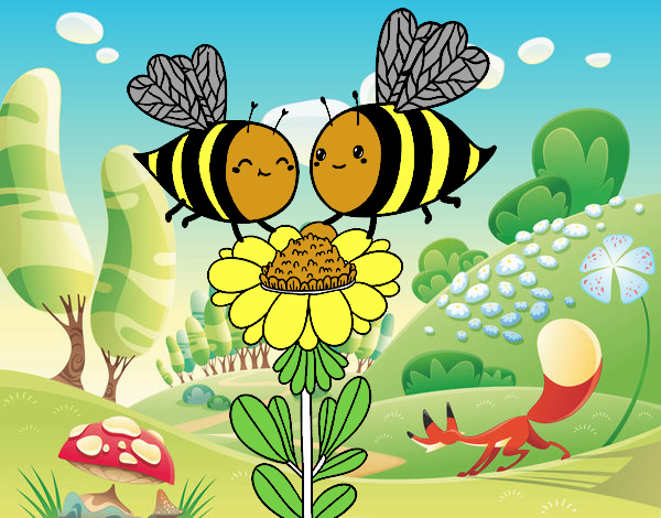 Pareja de abejas