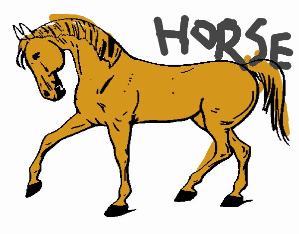 Horse