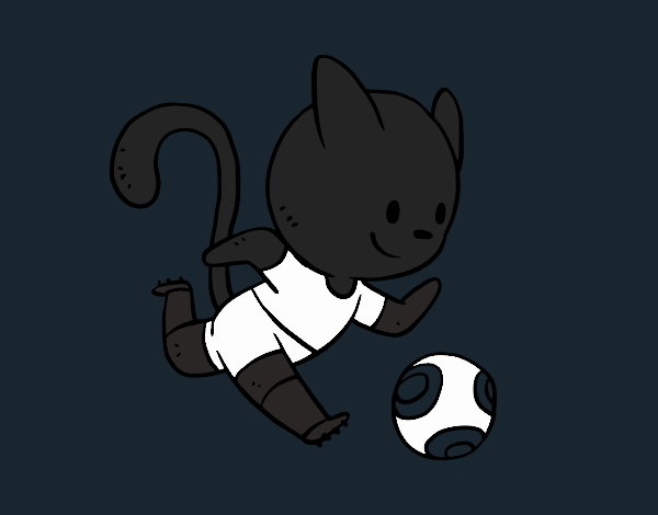 Gato jugando a fútbol