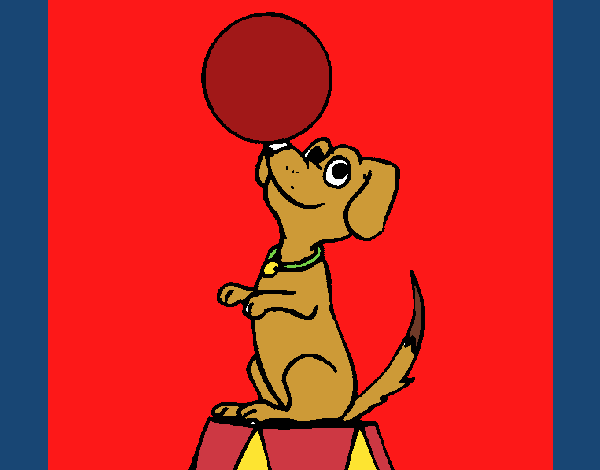 Perro de circo