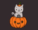 Un gatito de Halloween