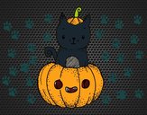 Un gatito de Halloween