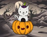 Un gatito de Halloween