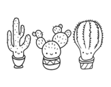 Dibujo de 3 mini cactus para colorear