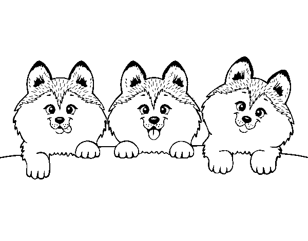 Dibujo de 3 perritos para Colorear