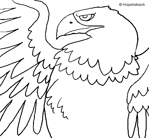 Dibujo de Águila Imperial Romana para Colorear