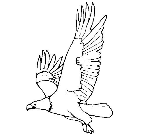Dibujo de Águila volando para Colorear