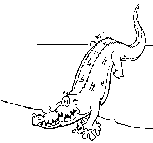 Dibujo de Aligátor entrando al agua para Colorear