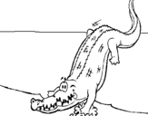 Dibujo de Aligátor entrando al agua para colorear
