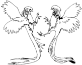 Dibujo de Aves con largas colas para colorear
