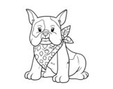 Dibujo de Bulldog francés para colorear