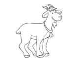Dibujo de Cabra de granja para colorear